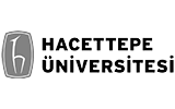 Hacettepe Üniversitesi Proficiency Hazırlık Atlama İngilizce Dil Sınavı Hazılırlığı